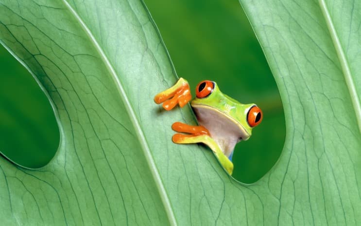 กุญแจแห่งความสำเร็จ "Eat that frog" กินกบตัวนั้นซะ! - 2. อย่าวางแผนล่วงหน้ามากเกินไป