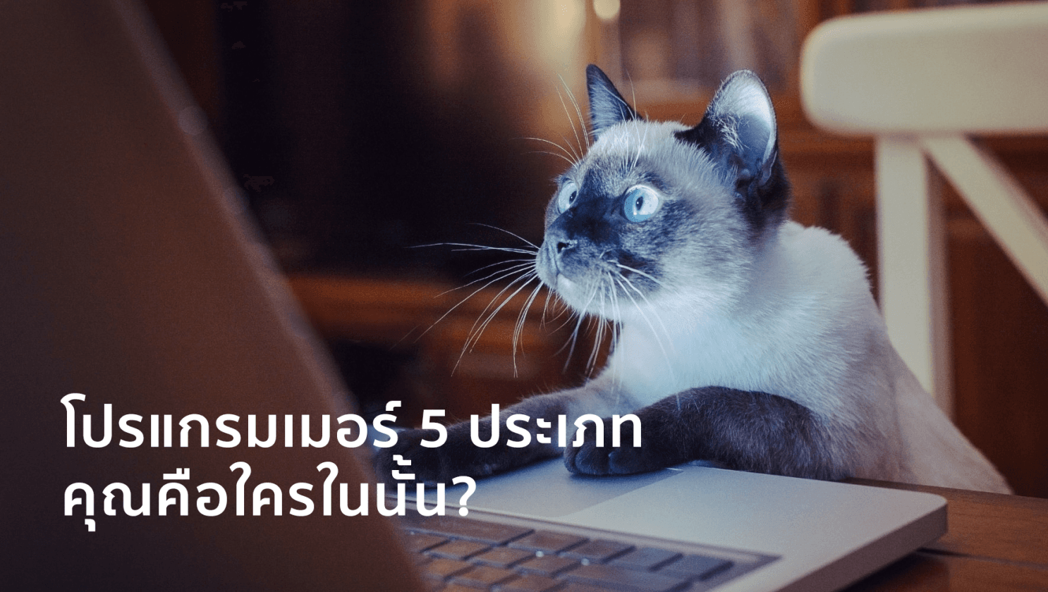 โปรแกรมเมอร์ 5 ประเภท ที่คุณต้องเคยเจอ!