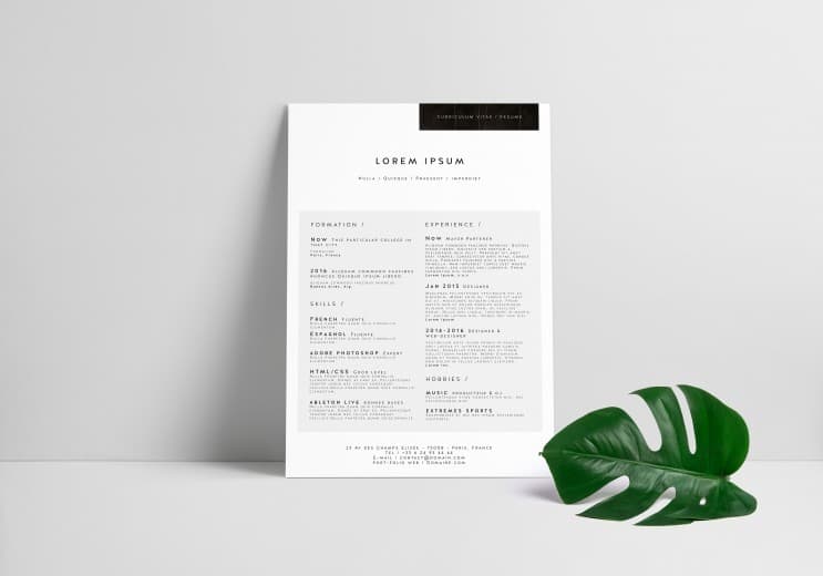 #เราก็เพอร์เฟ็กต์ในระดับนึงแล้ว แต่ทำไมยังไม่ได้งาน(ใหม่)สักที? - 2. Resume คือแรงดึงดูดสำคัญ